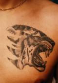tetování Horice,tetování Jičín Horice - tetovani Horice - logo